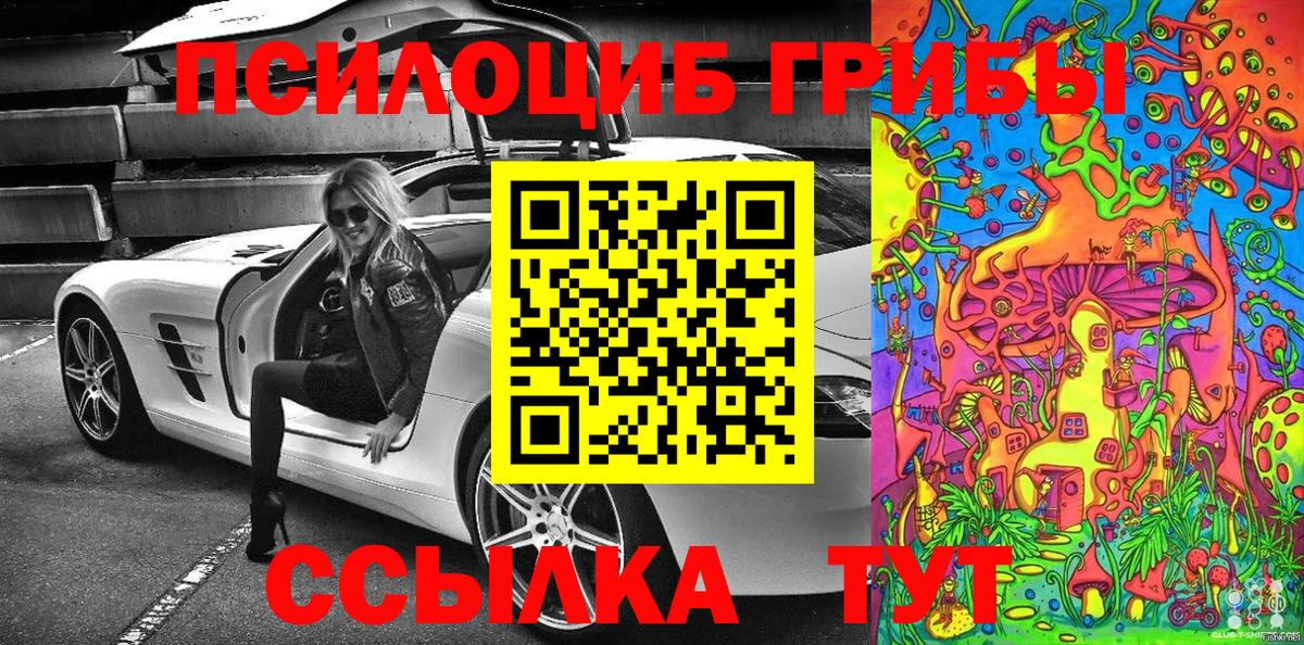 Спасск-Дальний  Псилоцибиновые грибы Cubensis  Вход с VPN 