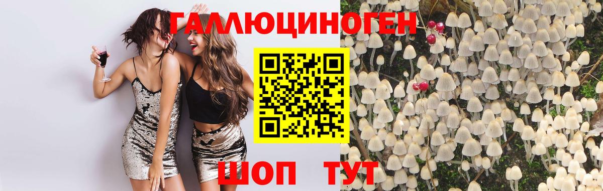 Галлюциногенные грибы ЛСД Спасск-Дальний
